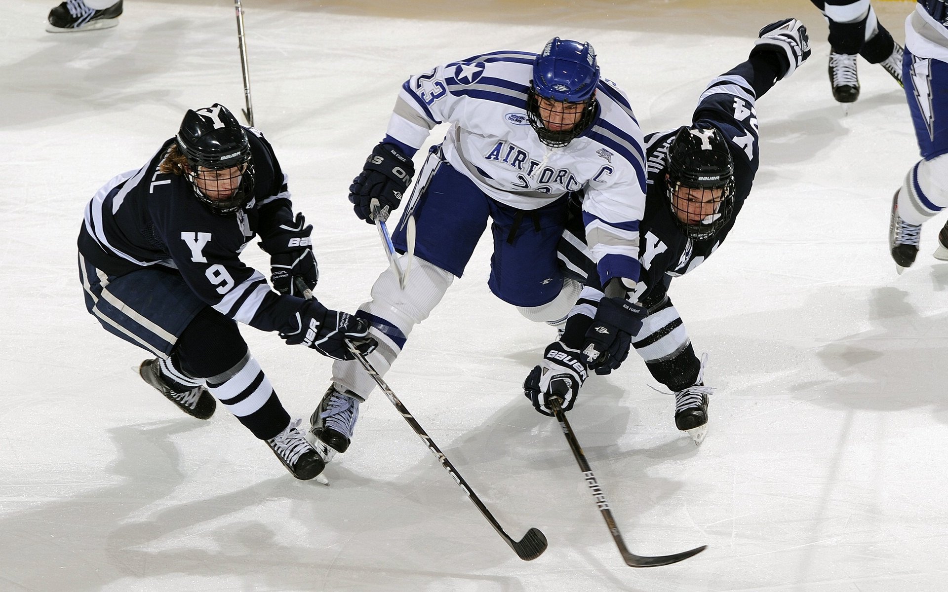 巴黎奥运会倒计时,全球健儿备战冲刺,东道主筹备引期待